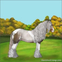 Horse Color:Silver Black Sabino Tobiano 