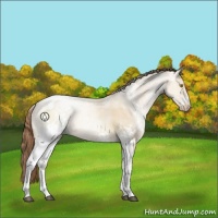 Horse Color:White Spotted Brown Pearl Dun Tobiano 