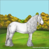 Horse Color:Gray Silver Black Sabino 