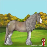 Horse Color:Silver Grullo Sabino
