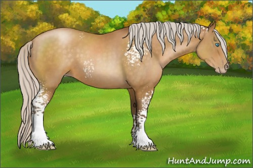 Horse Color:Gray White Spotted Silver Buckskin Pearl 