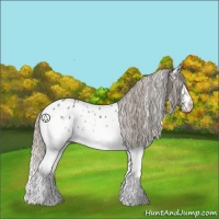 Horse Color:White Spotted Silver Black Appaloosa 