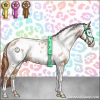 Horse Color:White Spotted Buckskin Pearl Appaloosa