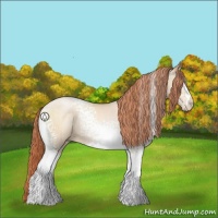 Horse Color:White Spotted Sable Cream Champagne Pearl 