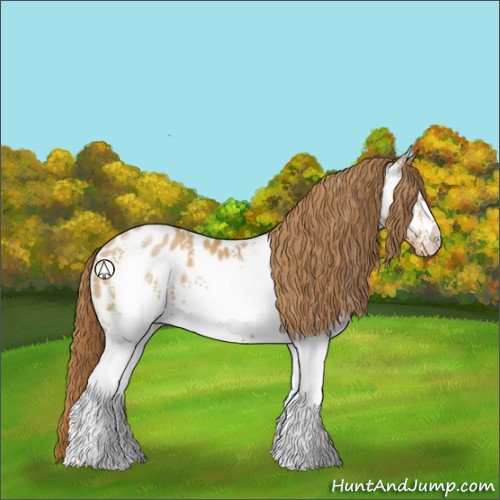 Horse Color:White Spotted Bay Pearl Sabino Appaloosa 