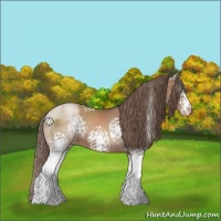 Horse Color:White Spotted Black Pearl 