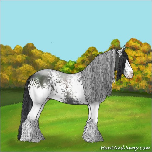 Horse Color:White Spotted Black Sabino