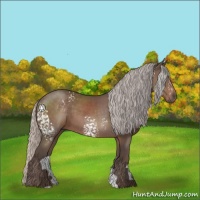 Horse Color:White Spotted Silver Black 