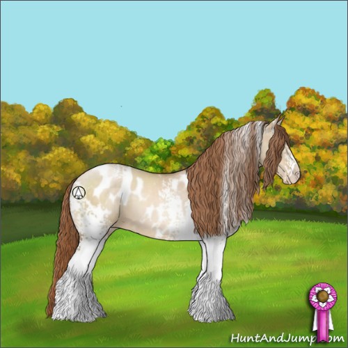 Horse Color:White Spotted Smoky Grullo Pearl Appaloosa