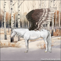 Horse Color:Liver Chestnut Mushroom Appaloosa 