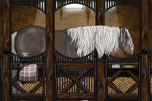 Horse Color:Liver Chestnut Mushroom 