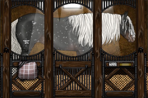 Horse Color:Liver Chestnut Mushroom Snowflake Varnish