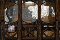 Horse Color:Liver Chestnut Mushroom Snowflake Varnish 