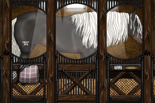 Horse Color:Liver Chestnut Mushroom 