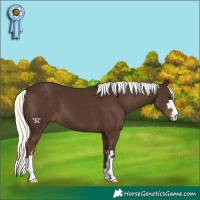 Horse Color:Liver Chestnut Mushroom 
