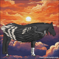 Horse Color:Black Tobiano 