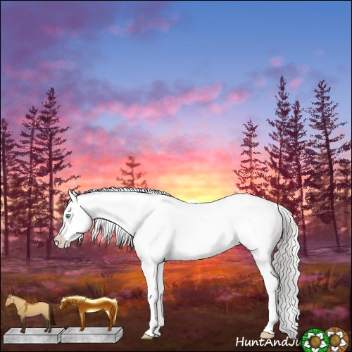 Horse Color:White Spotted Silver Buckskin Pearl Dun Tobiano Appaloosa 