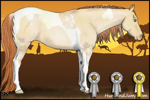 Horse Color:Buckskin Pearl Dun Tobiano Varnish 
