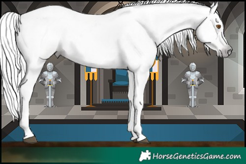 Horse Color:Gray Silver Black Pearl Tobiano 