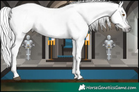 Horse Color:Gray Silver Black Pearl Tobiano