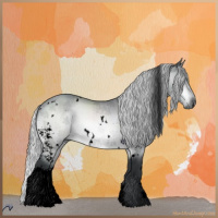 Horse Color:Void White Spotted Silver Brown Chinchilla 