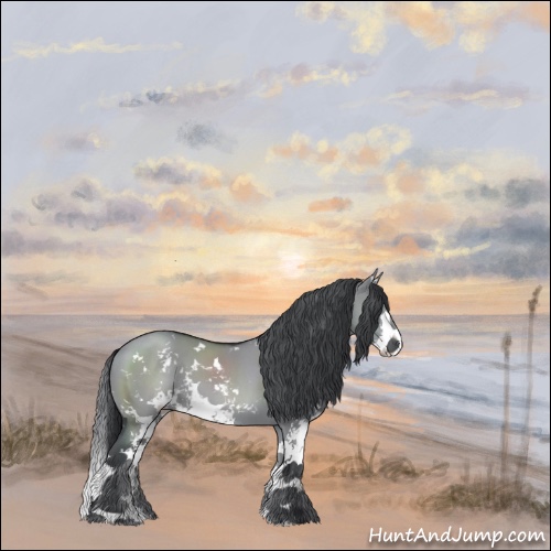 Horse Color:Grullo Chinchilla Sabino Splash