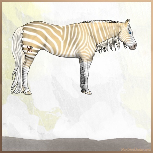 Horse Color:Palomino Splash 