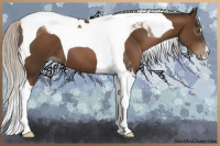 Horse Color:Gray Silver Black Pearl Tobiano 