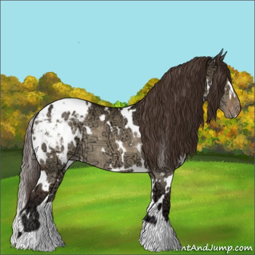 Horse Color:White Spotted Buckskin Ice Dun Blanket 