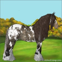 Horse Color:White Spotted Buckskin Ice Dun Blanket 