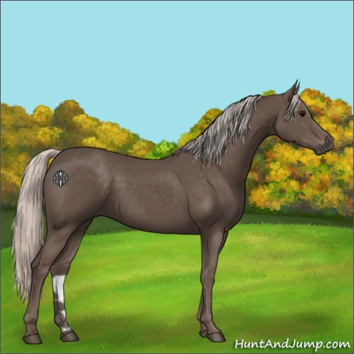 Horse Color:Silver Black 