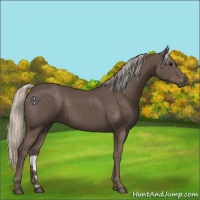 Horse Color:Silver Black 