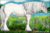 Horse Color:Cremello Near Leopard 