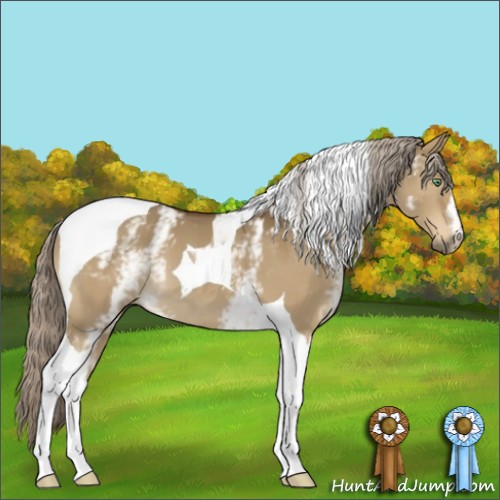 Horse Color:White Spotted Chocolate Palomino Dun Tobiano 