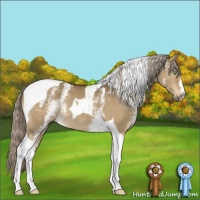 Horse Color:White Spotted Chocolate Palomino Dun Tobiano 