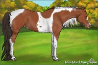 Horse Color:Brown Tobiano Varnish 