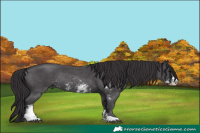 Horse Color:Smoky Black Sabino Rabicano