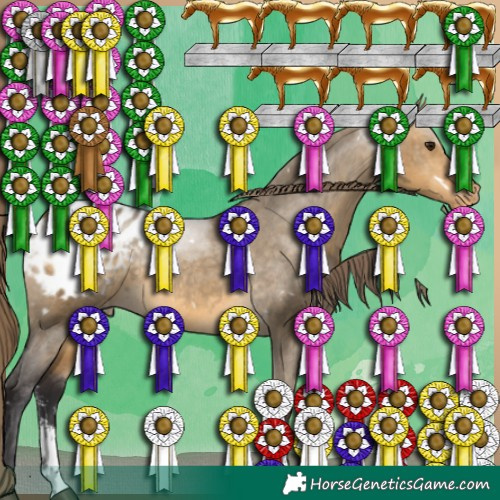 Horse Color:White Spotted Buckskin Dun Sabino Blanket