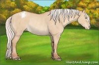 Horse Color:Silver Classic Champagne Dun Varnish Rabicano