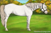 Horse Color:Smoky Creme Roan Dun 
