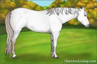 Horse Color:Gray Chocolate Palomino Roan 