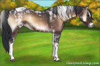 Horse Color:Brown Onyx Sabino Tobiano 