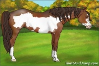Horse Color:Liver Chestnut Frame