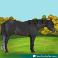 Horse Color:Brown 