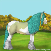 Horse Color:Watercolor Amber Cream Champagne Sabino Tobiano 