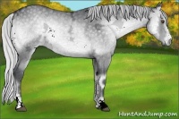 Horse Color:Silver Blue Onyx Chinchilla Ice Sabino 