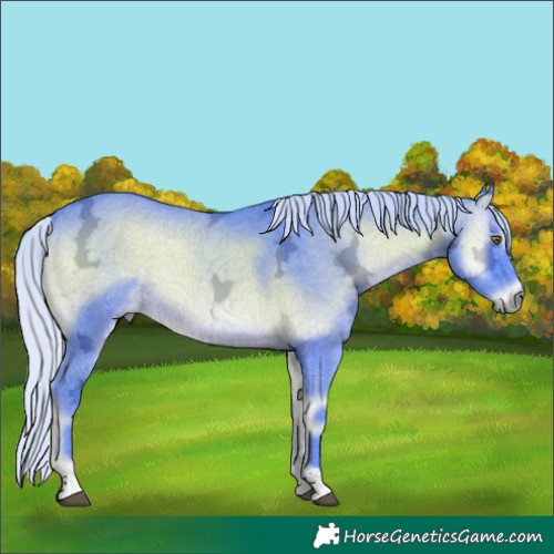 Horse Color:Watercolor Silver Blue Onyx Chinchilla Ice 