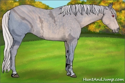 Horse Color:ERROR: UNKNOWN ANOMALY