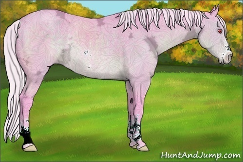 Horse Color:Watercolor Silver Black Chinchilla Ice Sabino Rabicano