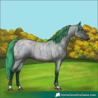Horse Color:Watercolor Midnight Brown Ice Roan 